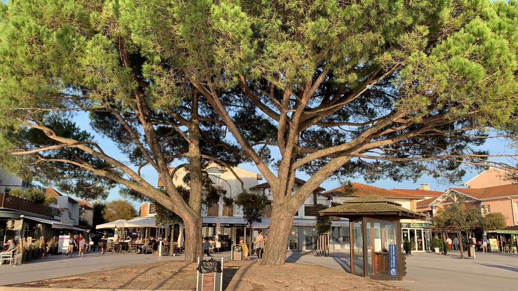 Une visite au musée d&rsquo;Arcachon en&nbsp;Aquitaine