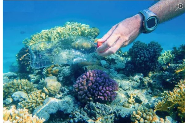 Combien de bouteilles en plastique faut-il pour faire un pull-over&nbsp;?