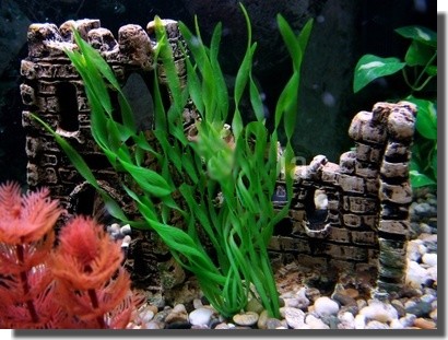 Utilisation des essences, voies interne et&nbsp;externe