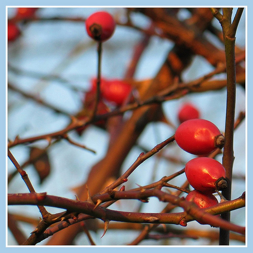 Soigner l&rsquo;asthénie
