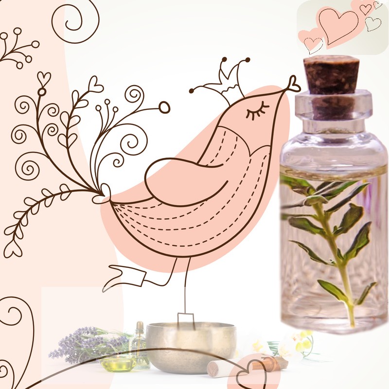 Essences Aromatiques : Propriétés et&nbsp;Usages