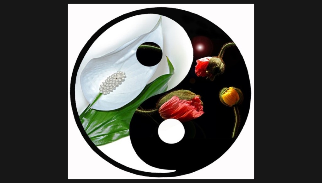 Propriétés Médicinales des Huiles Essentielles : Guide&nbsp;Complet