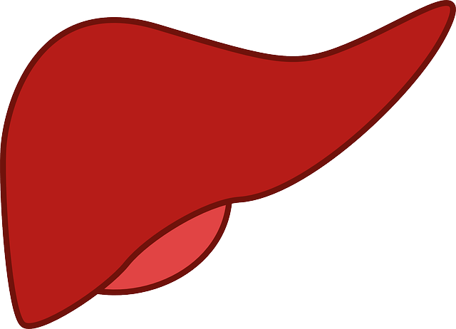 L&rsquo;hépatite virale