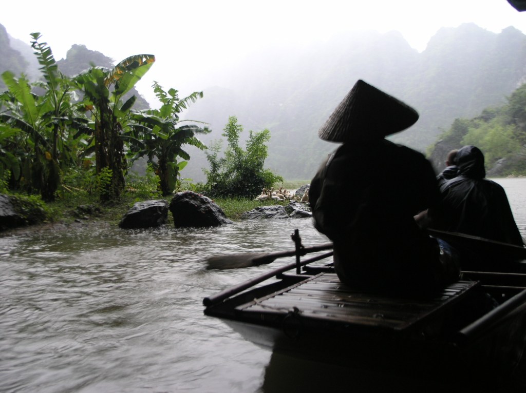 L&rsquo;histoire des essences de plantes, correspondance des plantes&nbsp;étudiées