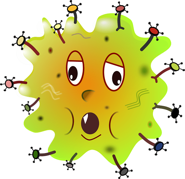 Guérison naturelle des infections : études et&nbsp;plantes